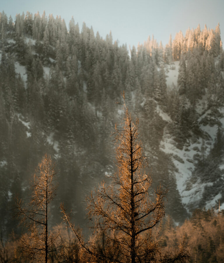 Chi siamo - Chalet Cridola